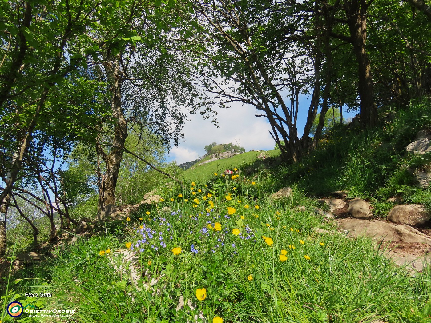 27 In uscita dal bosco si aprono gli estesi prati.JPG